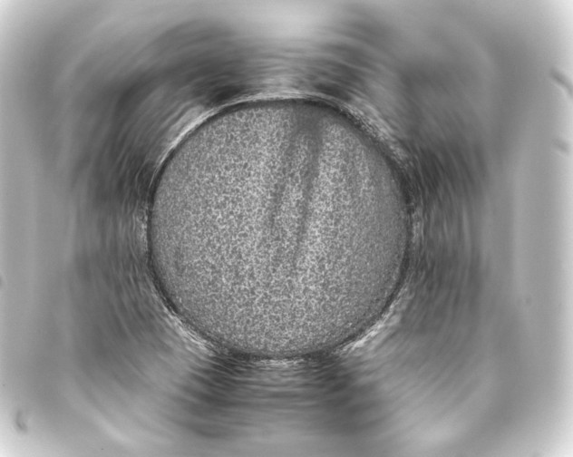 X0000093431409200711021025