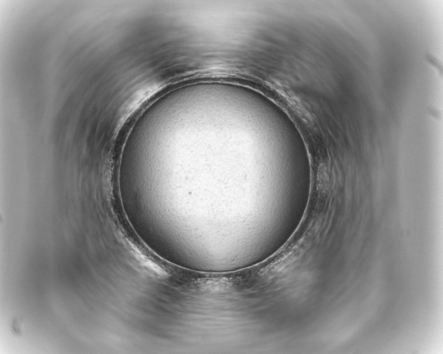 X0000093431410200711021025