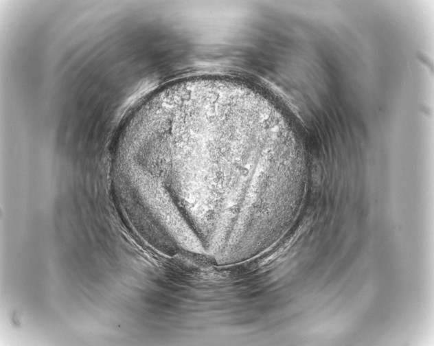 X0000093431411200711021025