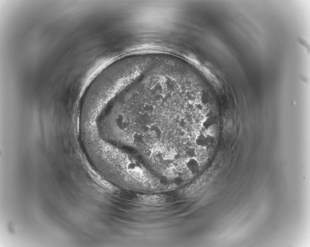 X0000093431413200711021025