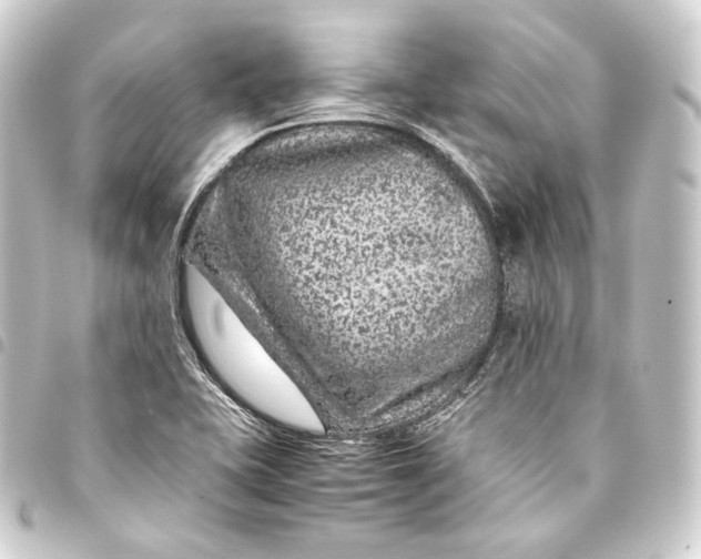 X0000093431415200711021025