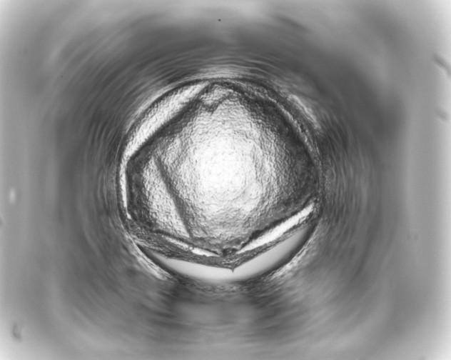 X0000093431417200711021025