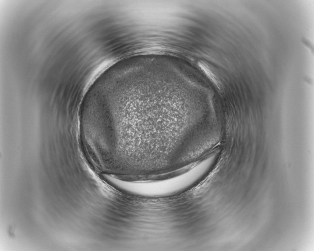 X0000093431418200711021025