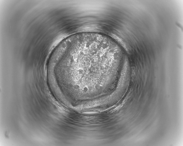 X0000093431419200711021025