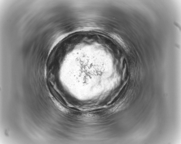 X0000093431420200711021025