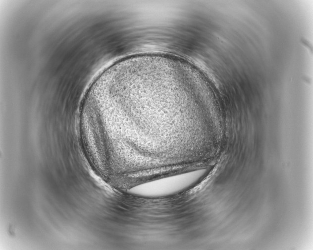 X0000093431421200711021025