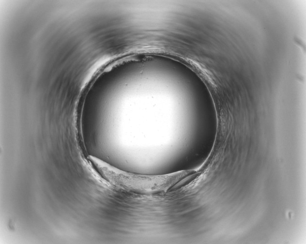 X0000093431422200711021025