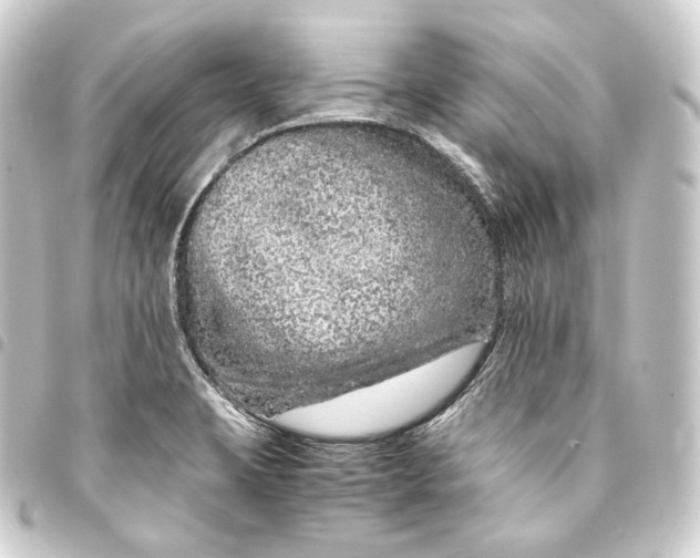 X0000093431423200711021025