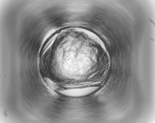 X0000093431424200711021025