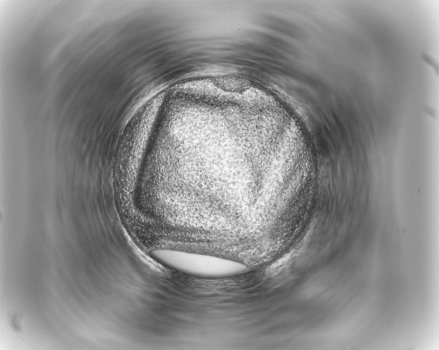 X0000093431425200711021025