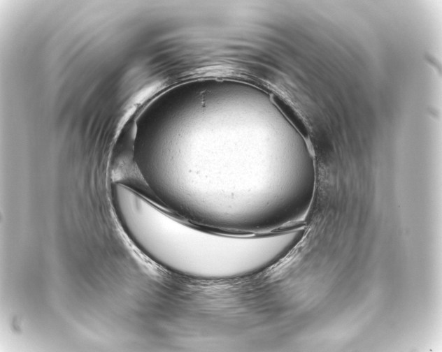 X0000093431426200711021025