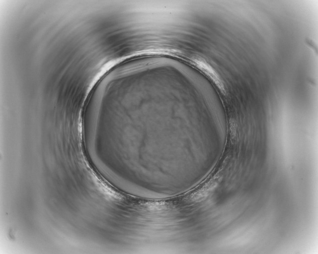 X0000093431428200711021025