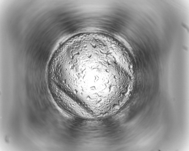 X0000093431429200711021025