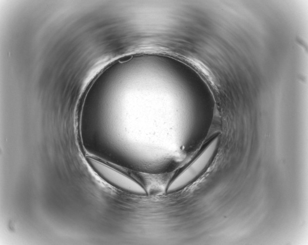 X0000093431430200711021025