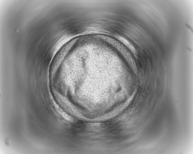 X0000093431431200711021025