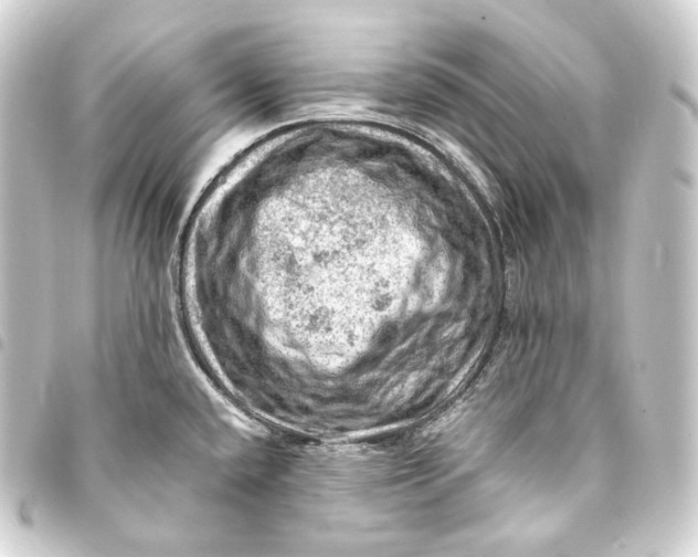 X0000093431432200711021025