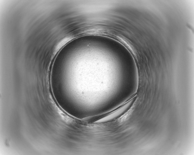 X0000093431434200711021025