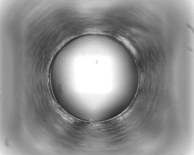 X0000093431435200711021025