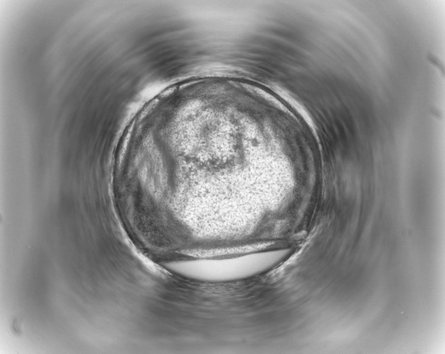 X0000093431437200711021025