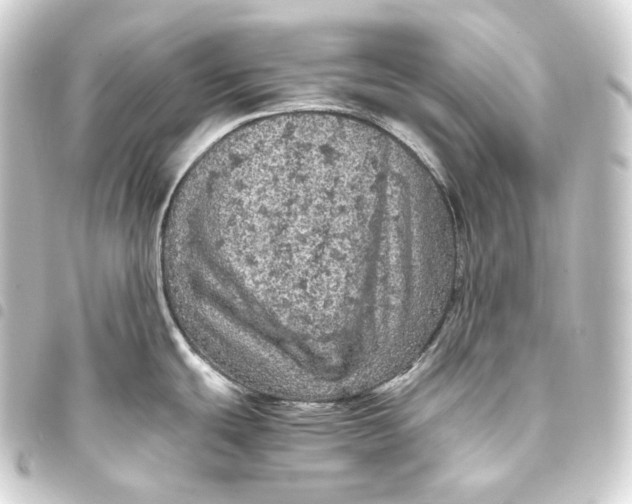 X0000093431439200711021025