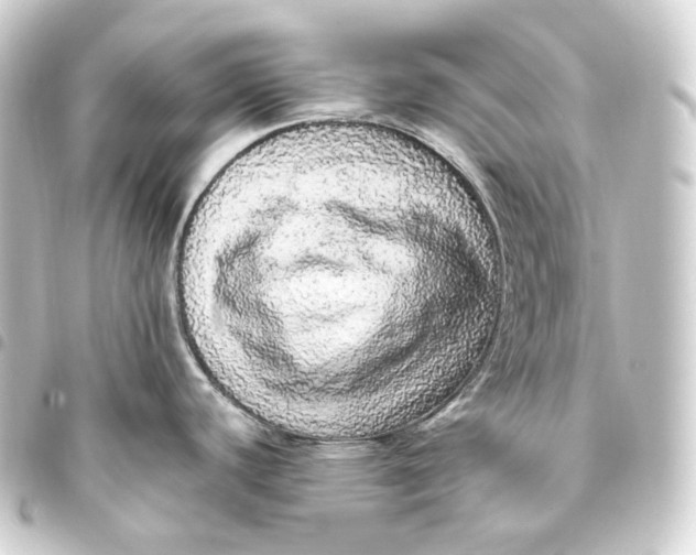 X0000093431440200711021025