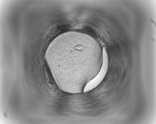 X0000093431441200711021025