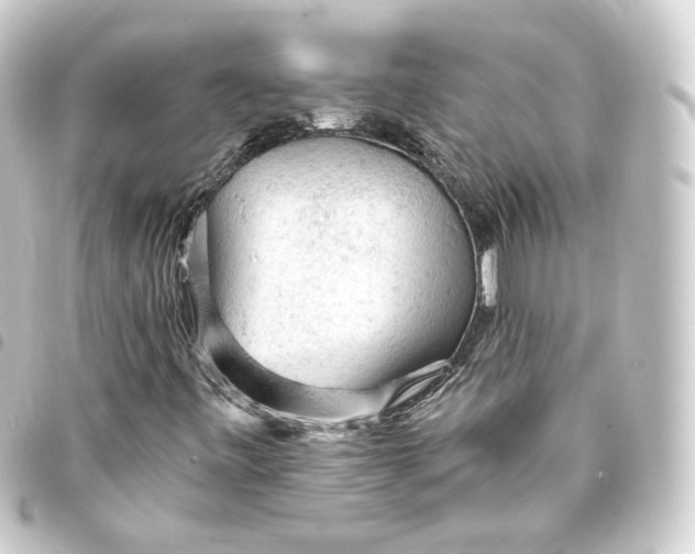 X0000093431443200711021025