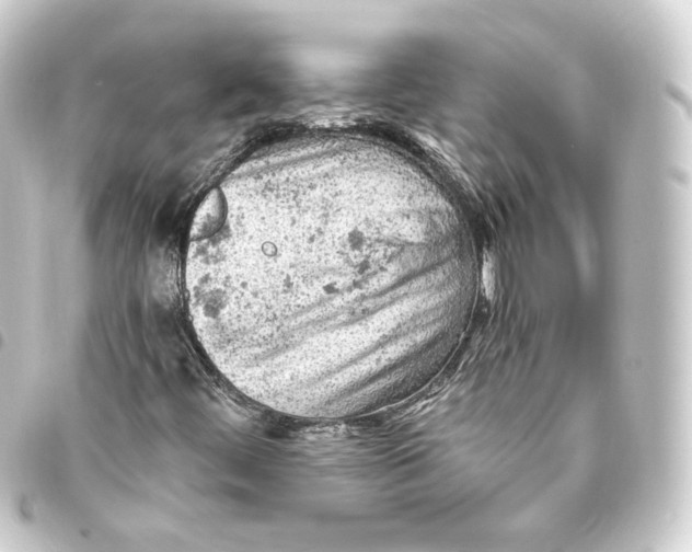 X0000093431444200711021025