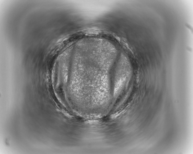 X0000093431445200711021025