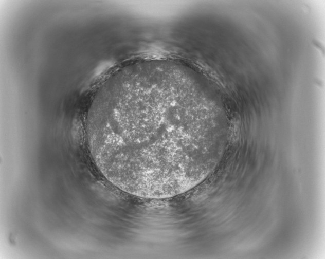 X0000093431446200711021025