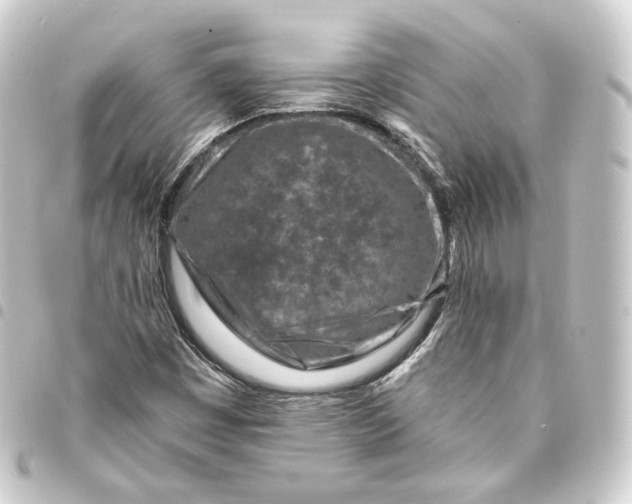 X0000093431449200711021025