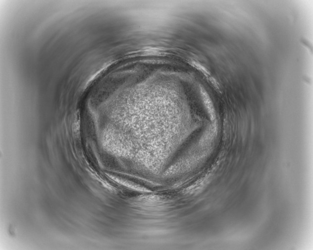 X0000093431450200711021025