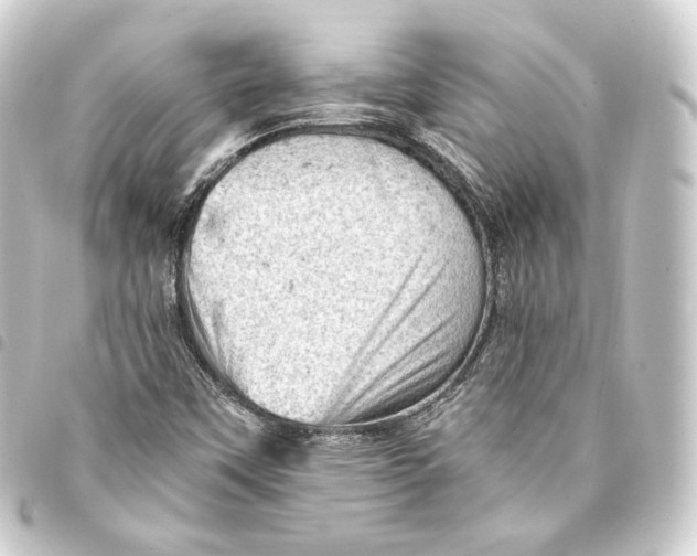 X0000093431451200711021025