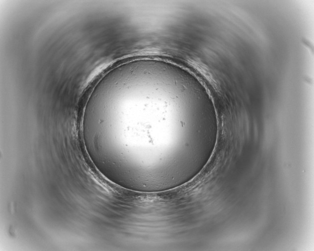 X0000093431452200711021024