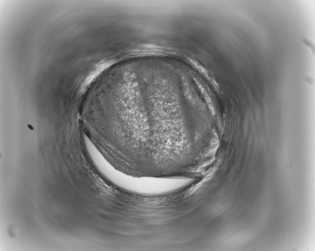 X0000093431453200711021024