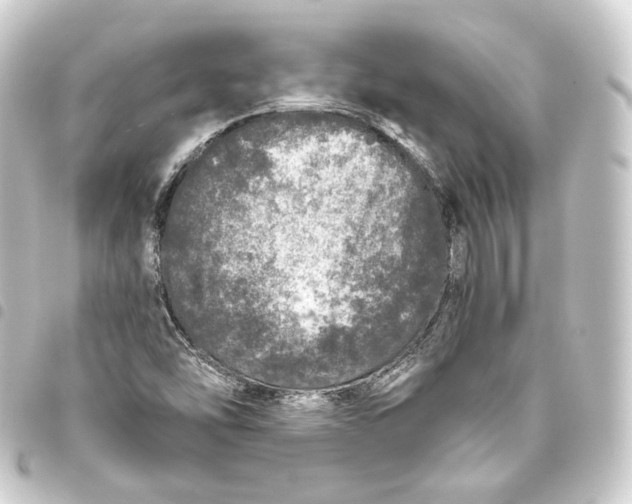 X0000093431454200711021024