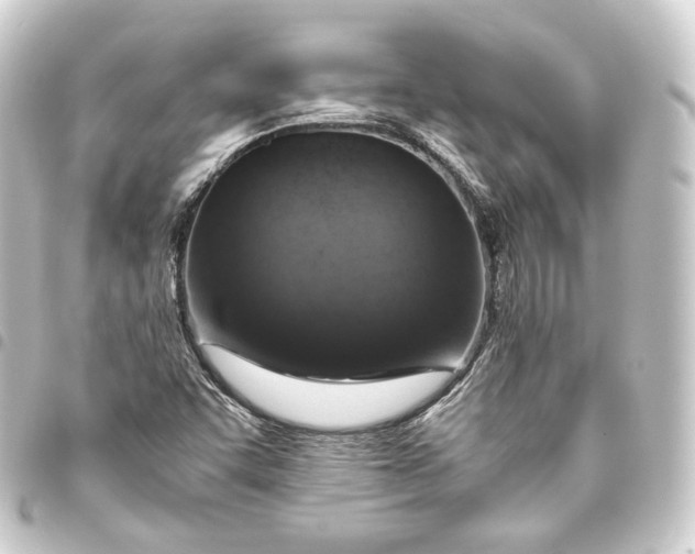 X0000093431455200711021024