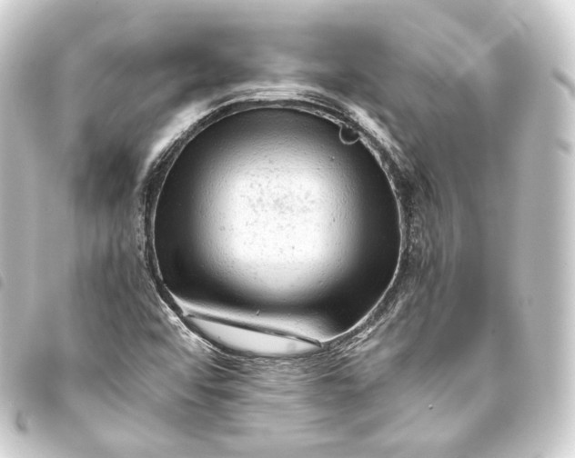 X0000093431456200711021024