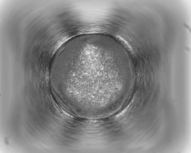 X0000093431457200711021024