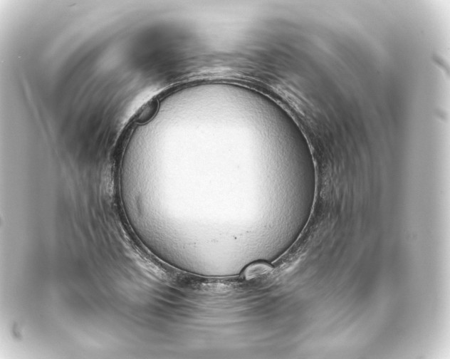 X0000093431458200711021024