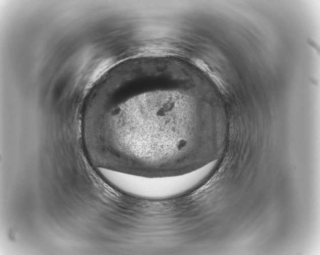 X0000093431459200711021024