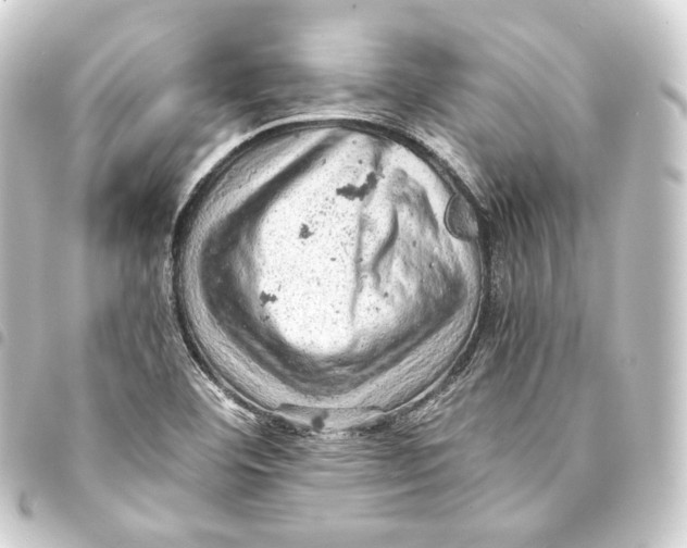 X0000093431460200711021024