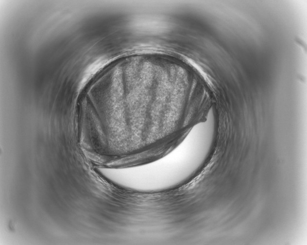 X0000093431461200711021024