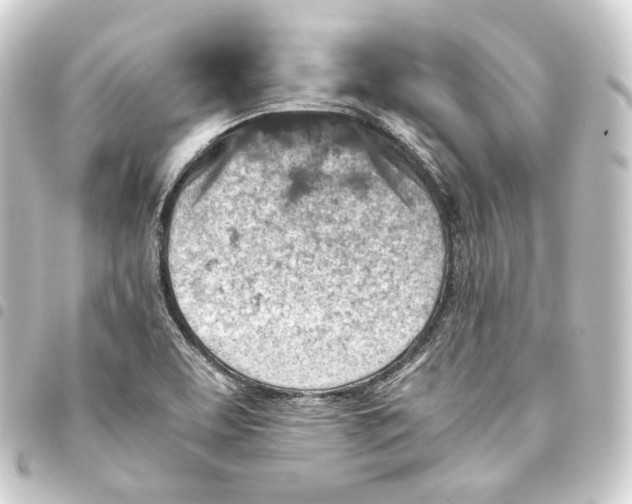 X0000093431463200711021024