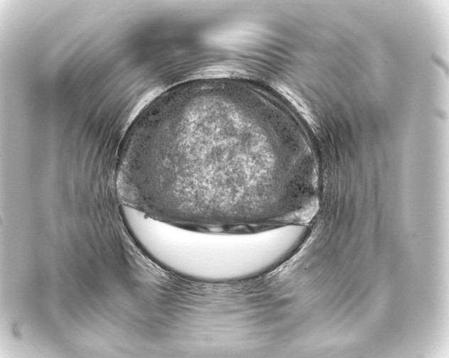 X0000093431465200711021024