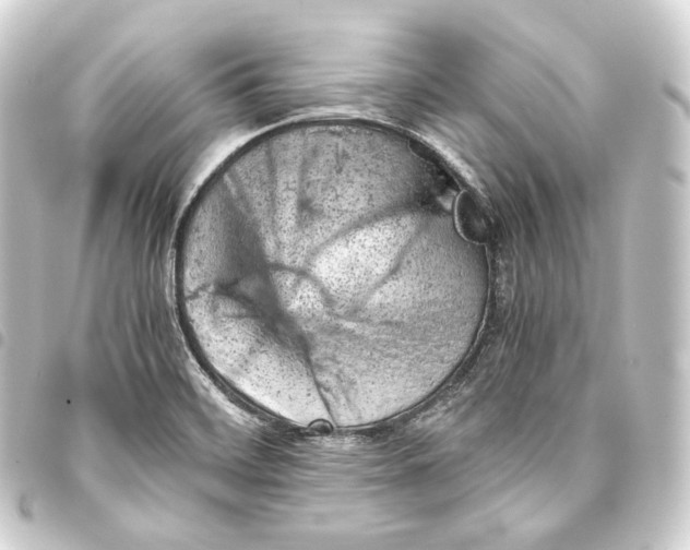 X0000093431468200711021024