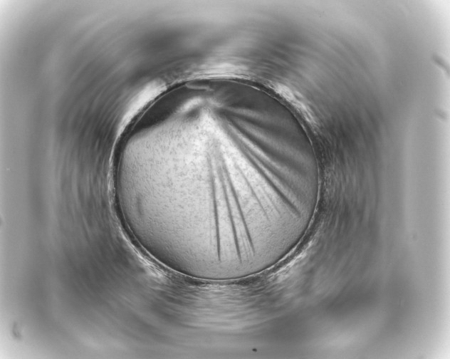 X0000093431469200711021024