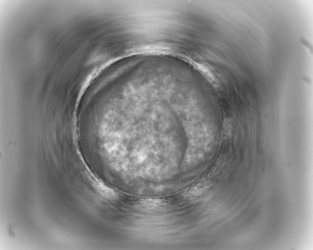 X0000093431470200711021024