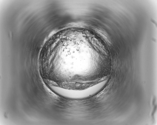 X0000093431471200711021024