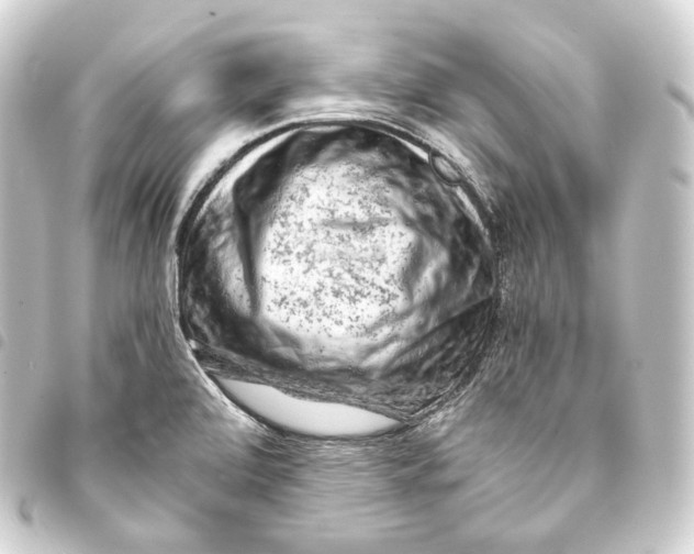 X0000093431472200711021024